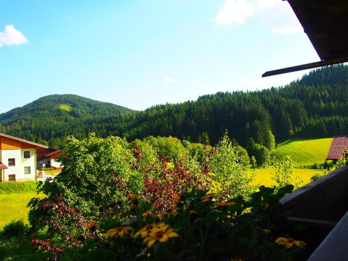 Appartment Kainhofer Sankt Martin am Tennengebirge Extérieur photo