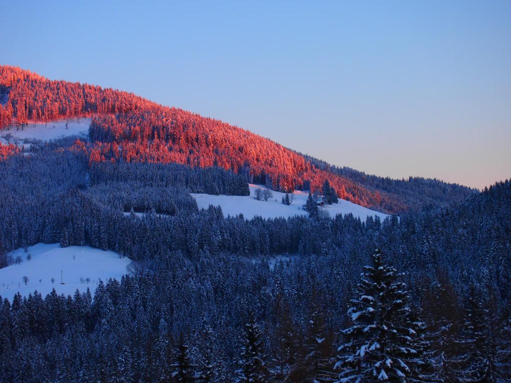 Appartment Kainhofer Sankt Martin am Tennengebirge Extérieur photo