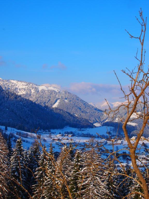 Appartment Kainhofer Sankt Martin am Tennengebirge Extérieur photo