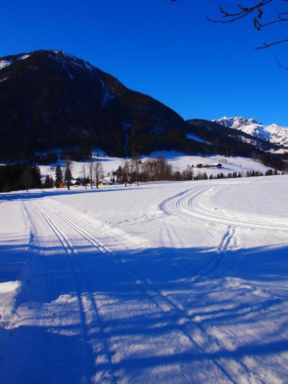 Appartment Kainhofer Sankt Martin am Tennengebirge Extérieur photo