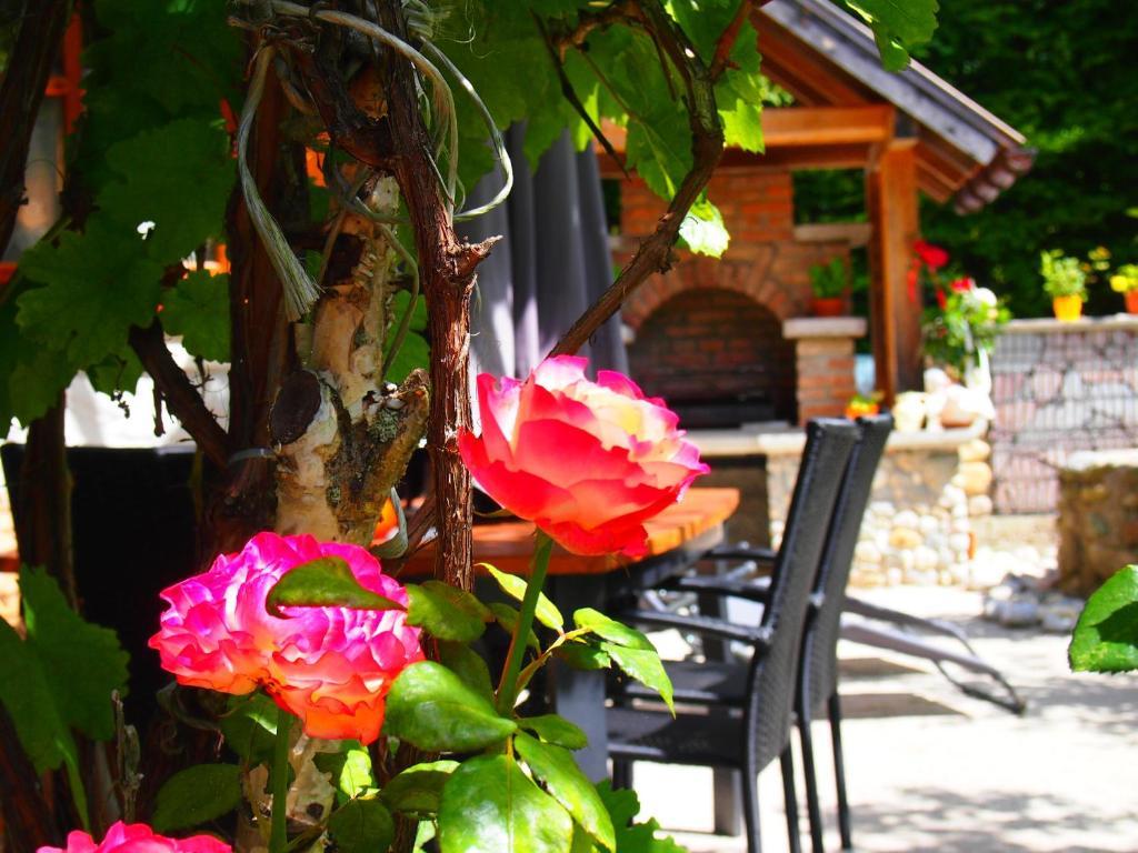 Appartment Kainhofer Sankt Martin am Tennengebirge Chambre photo